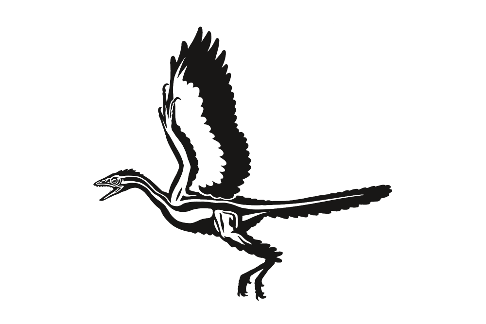 Archaeopteryx lithographica Palaeolove. Science meets Design