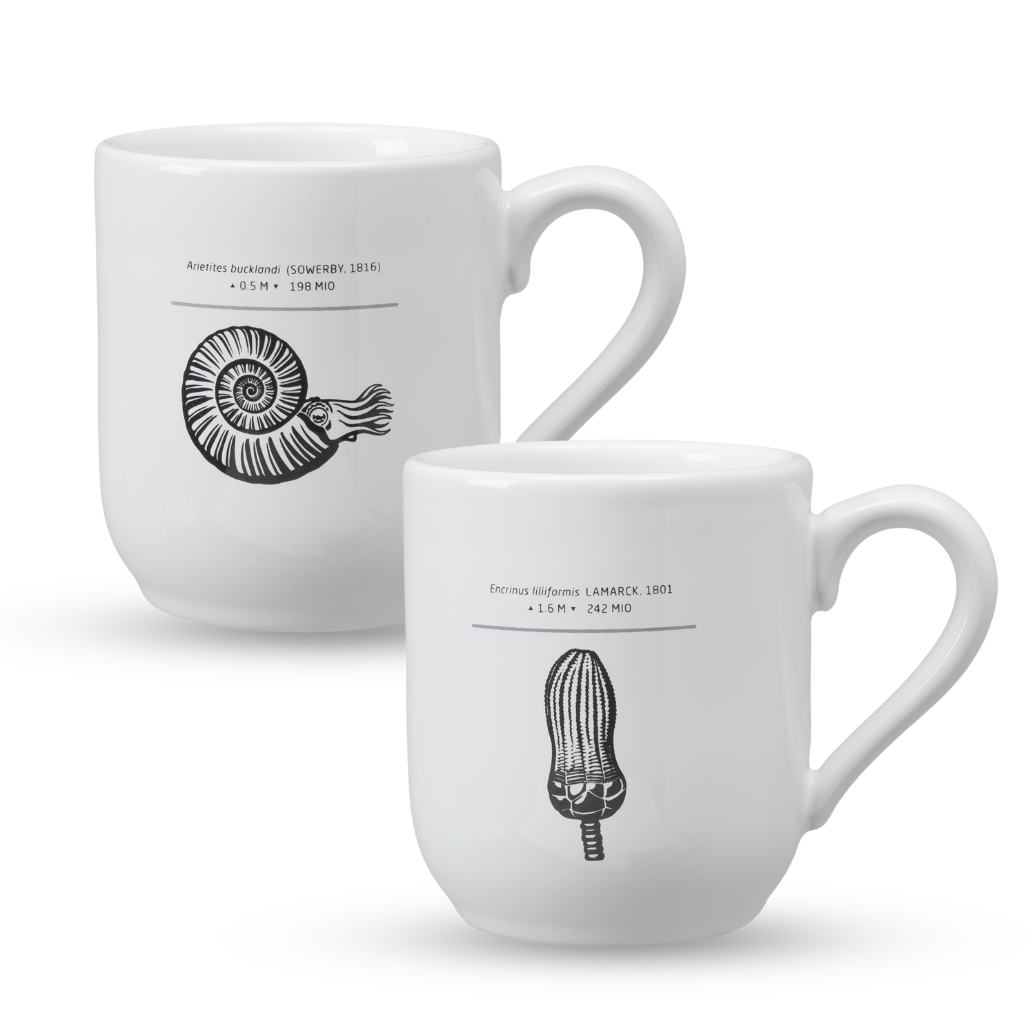 Cup Sets Palaeolove. Science meets Design