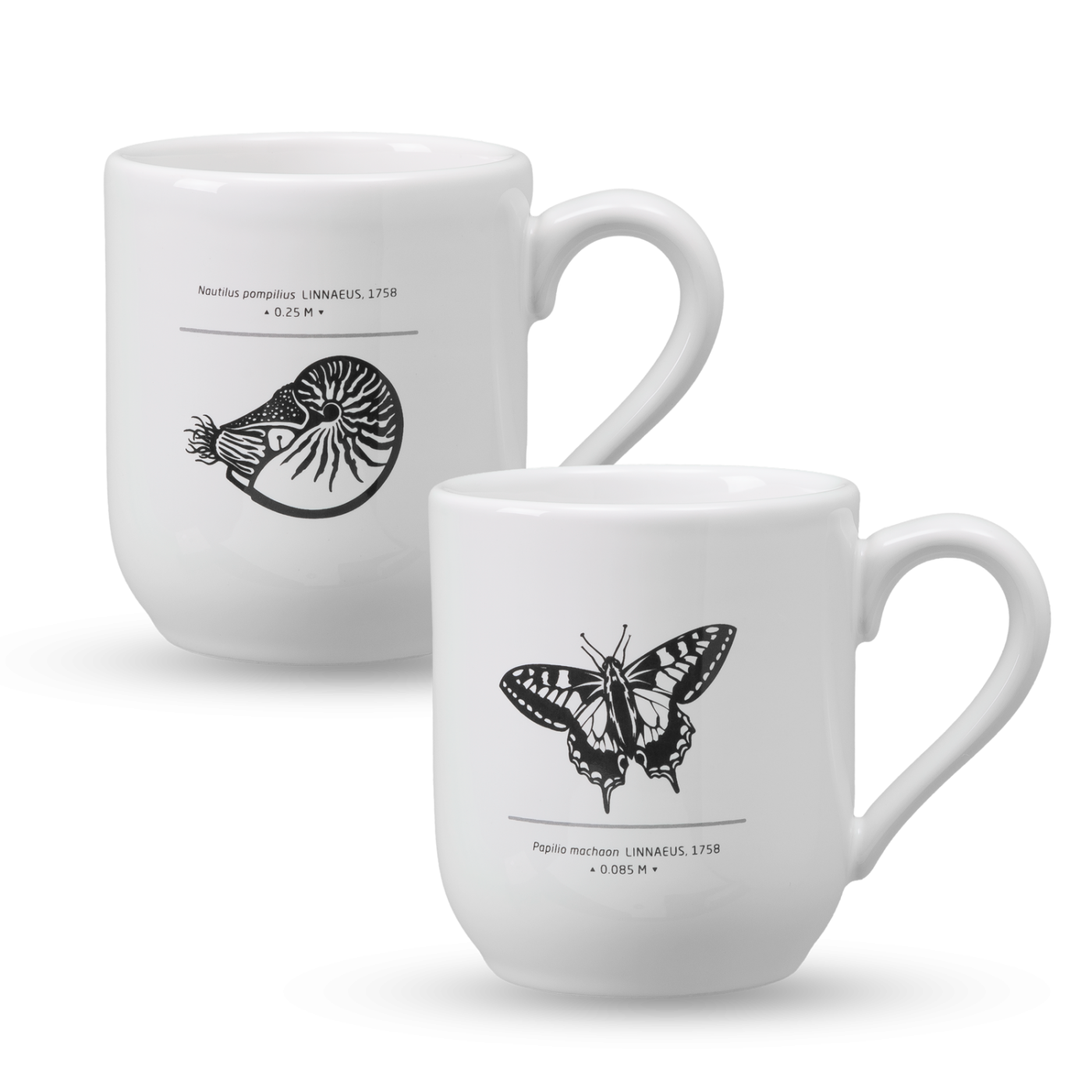 Cup Sets Palaeolove. Science meets Design